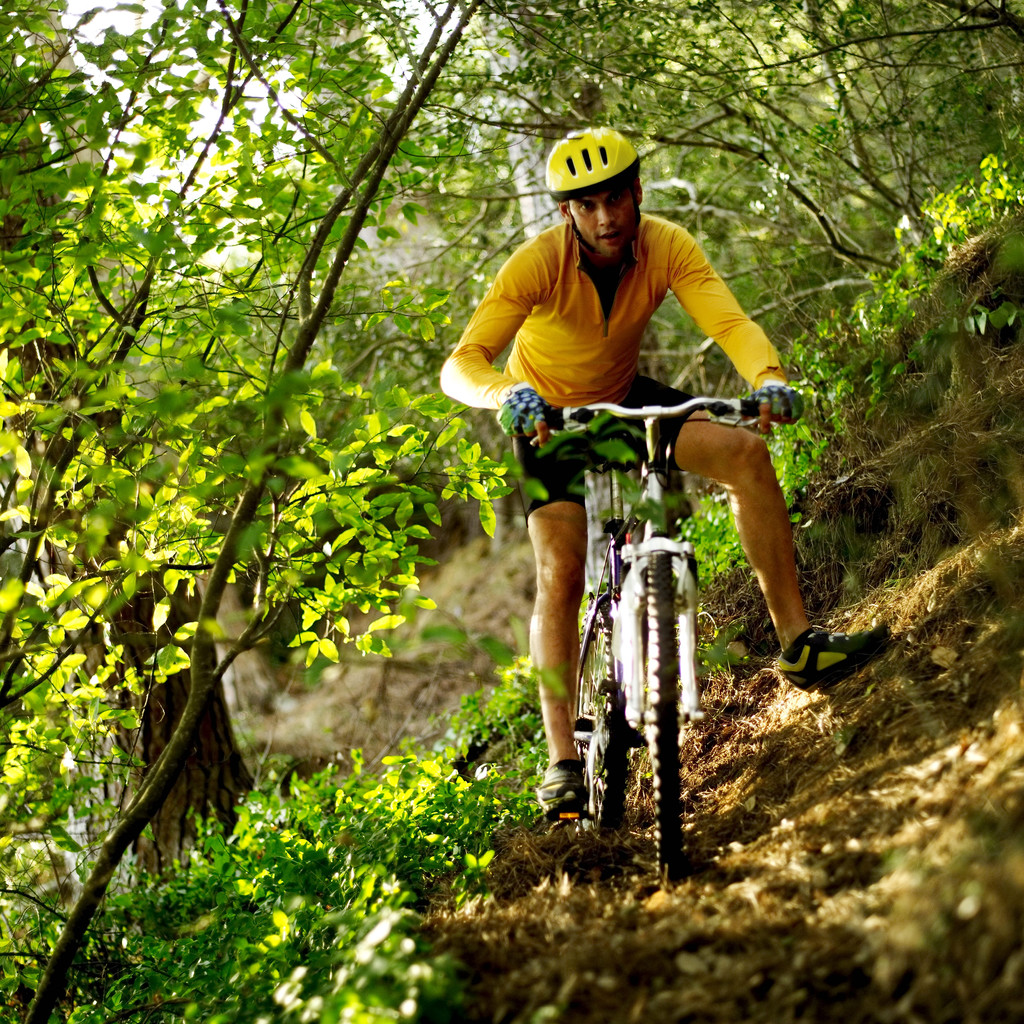 Young Man Cycling in a Forest --- Image by  Royalty-Free/Corbis